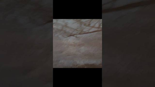 20241118_135801.mp4