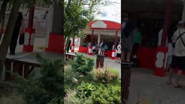 Полное видео на канале VLOG:14-07-24💦Альпака Парк в парке Сказка Крылатское Москва и приём у гл.офт