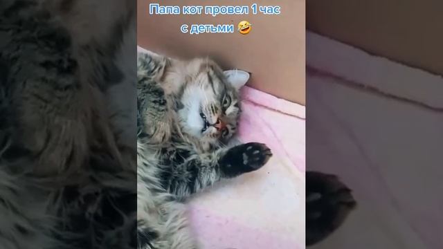 Когда провёл целый час с детьми 😅
Когда провёл целый час с детьми 😅