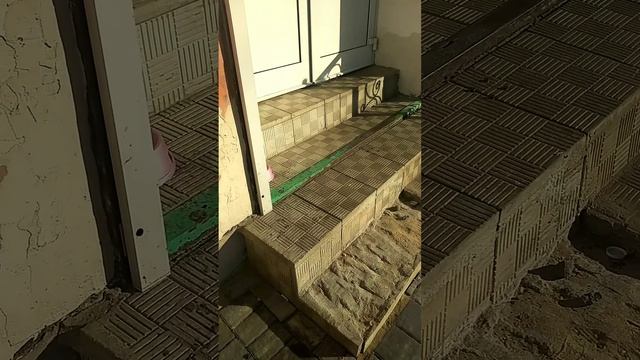 Любителям кормить кошек