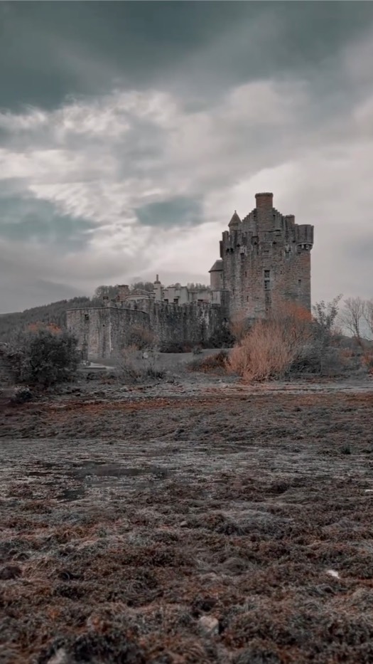 Лучший подарок на Новый Год 2025