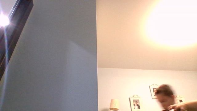 PVZ