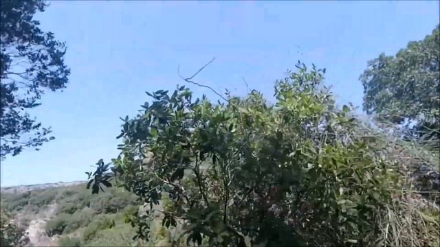 Прогулка к ручью Нахаль-Кзив*...