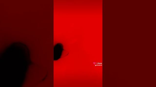 1000019903.mp4