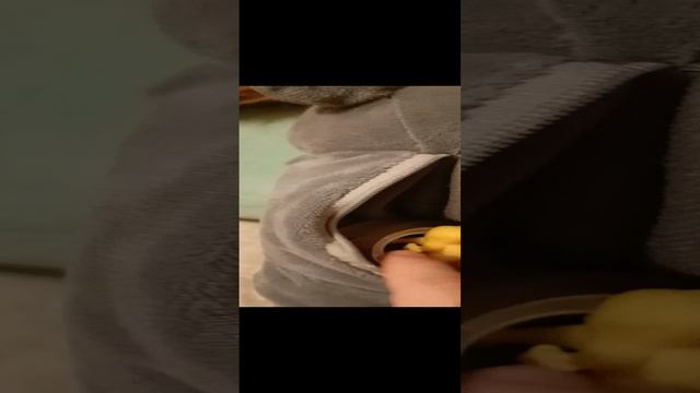 Бурундук 🐿️