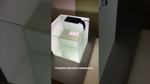 Обзор аквариума 38*38*40 см. Будущий креветочник. Осветленные стекла AGC Clearvision.