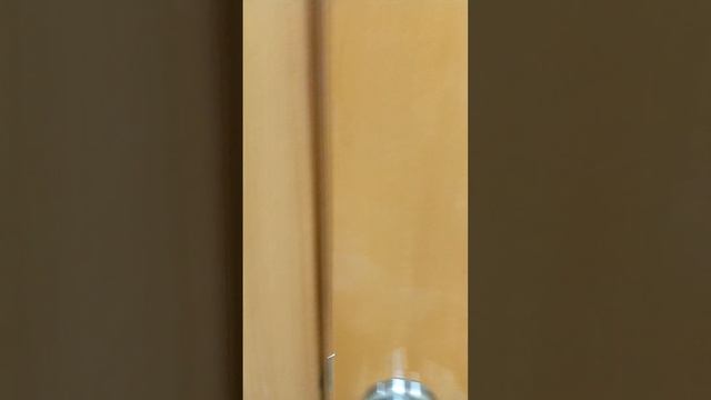 исчезновение в туалете. СЪЕЛ ТУАЛЕТ?