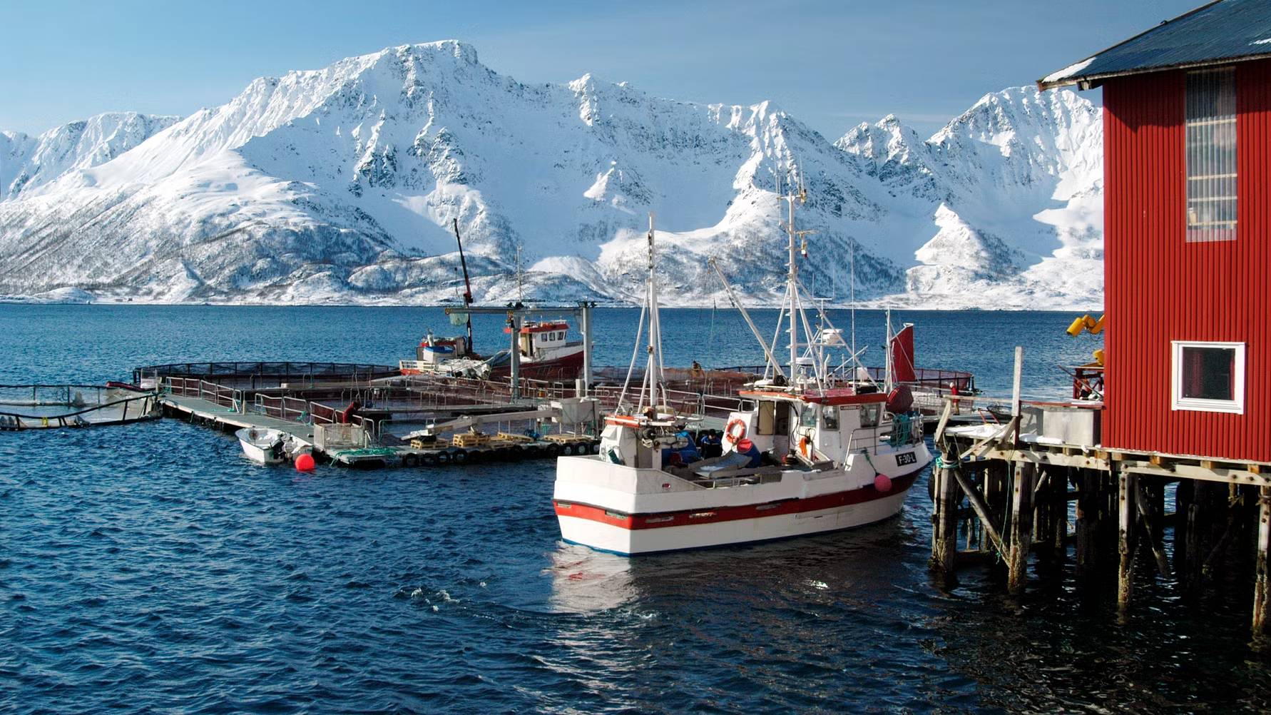 РР4 Норвежское море, фарм.