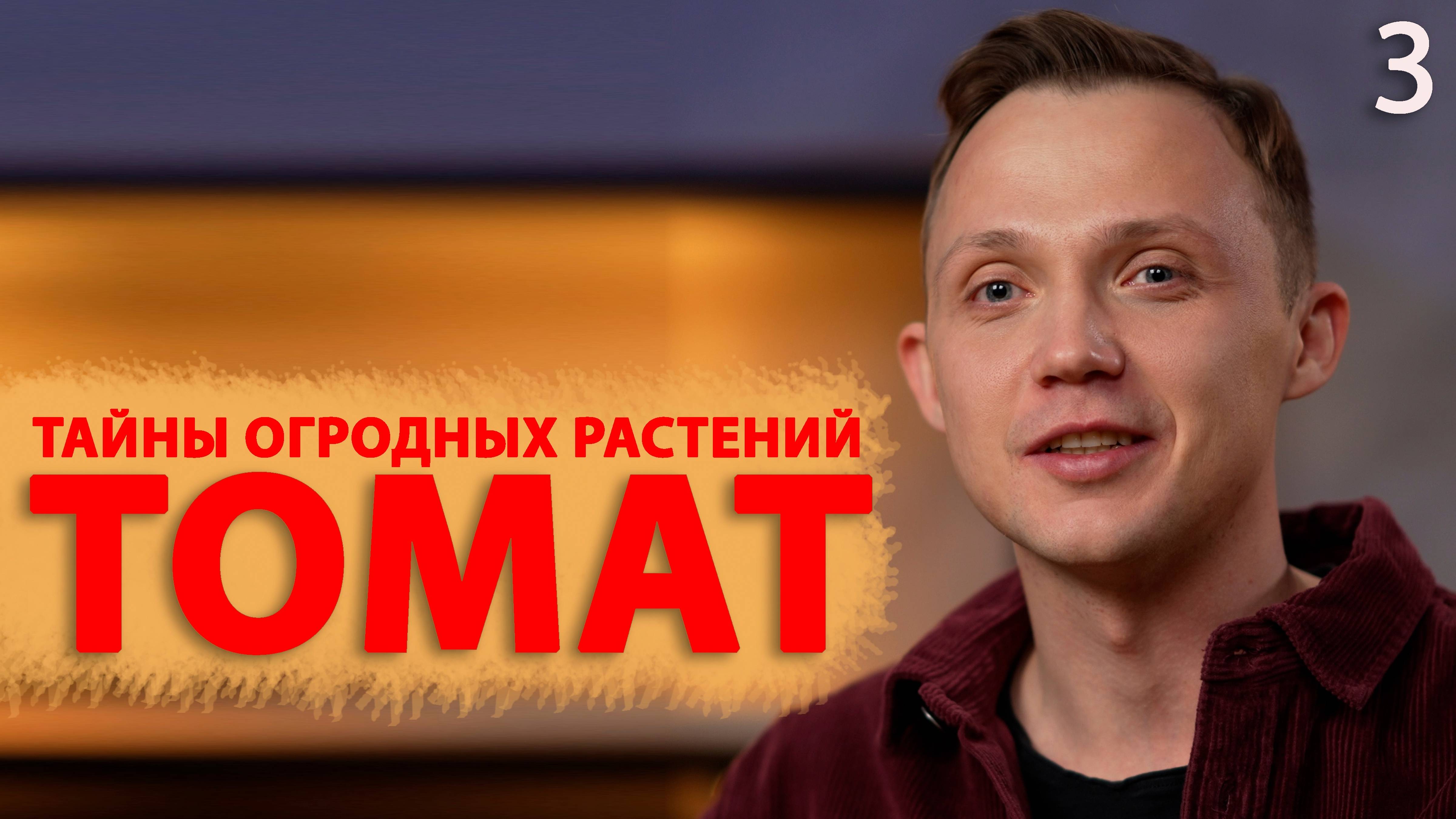 История томата: от декоративного растения до одного из самых востребованных овощей в мире