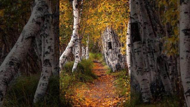 Жизненная дорога.