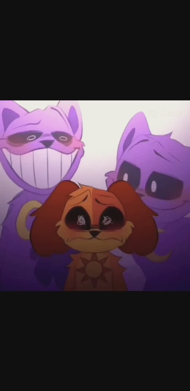 Catnap and Dogday