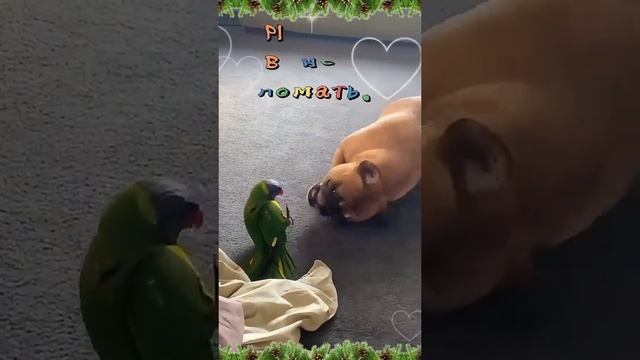 Пожалуйста, поддержите мой труд - поставьте лайк и подпишитесь на мой канал с открытками! Я буду ...