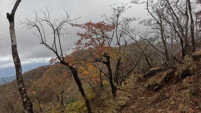 Хаконэ, гора Ояма, из Омэ в Чичибу