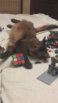 Укладываемся поудобней