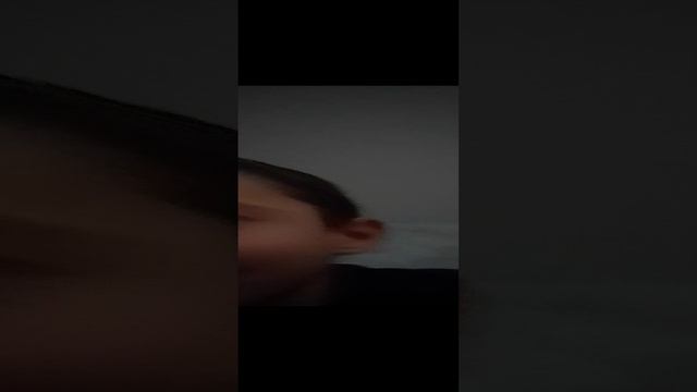VID_20241118_124540.mp4