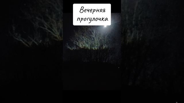 scene_output.mp4