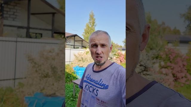 Спаси птичку