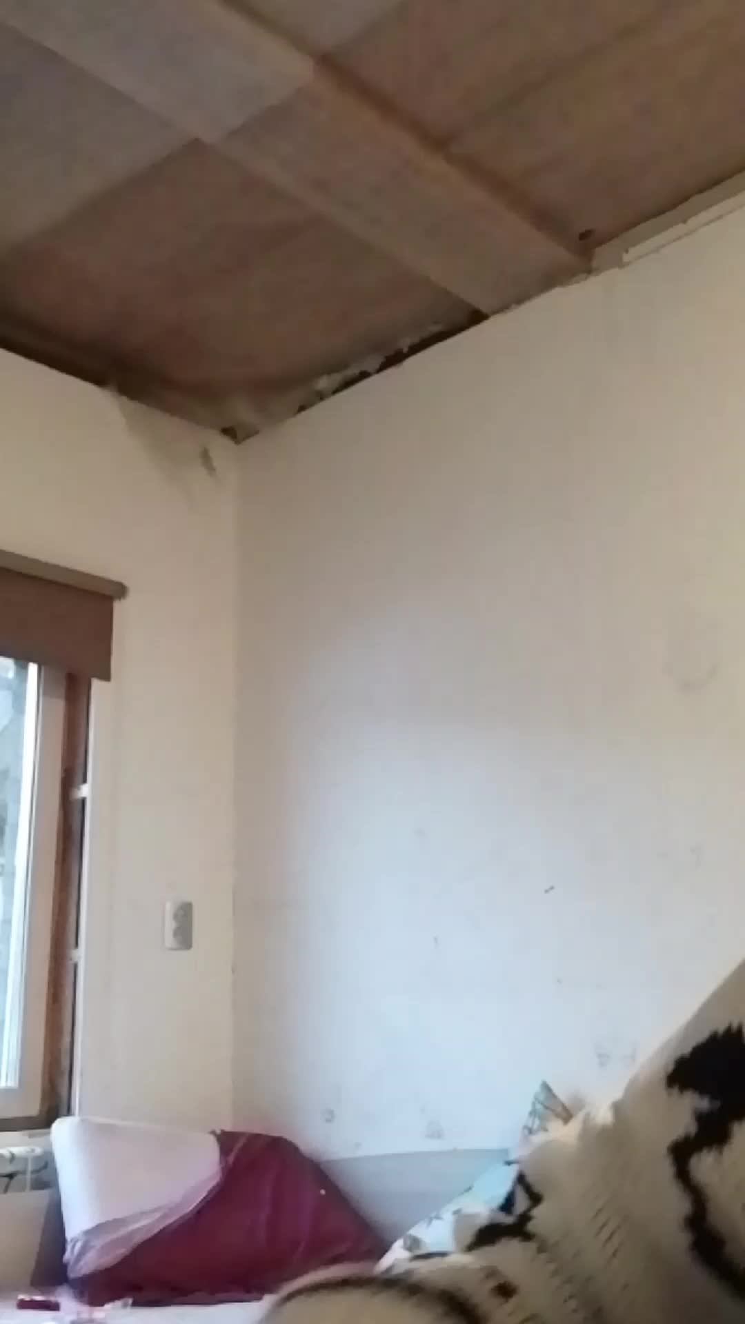 ашещпз