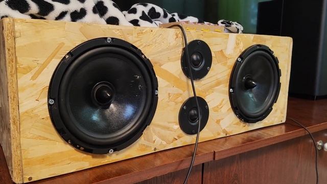 DIY speaker tpa3118 & subwoofer JBL