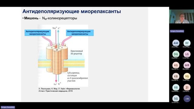 Фармакология Холиноблокаторы