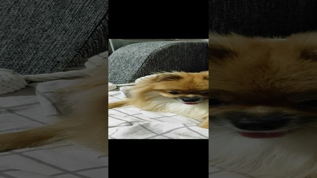 1000062698.mp4