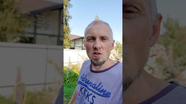 Спаси птичку