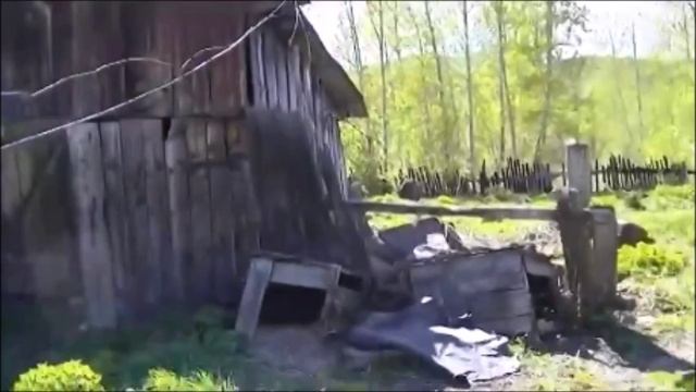 Савин Виталий-Родительский кров.