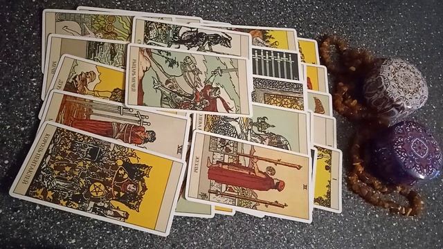 VID_20241117_153437.mp4