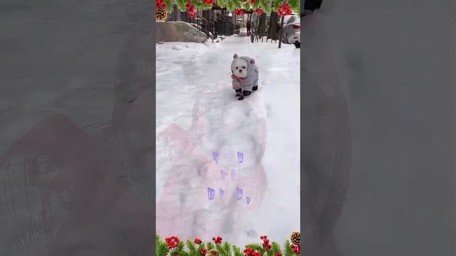 Пожалуйста, поддержите мой труд - поставьте лайк и подпишитесь на мой канал с открытками! Я буду ...