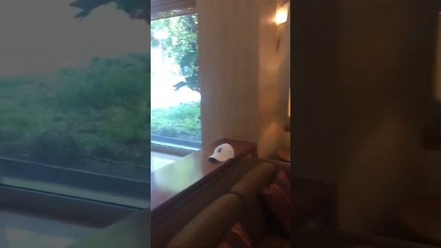 4K #AKKA ALINDA HOTEL 5 ТУРЦИЯ, КЕМЕР, ОФИЦИАЛЬНЫЙ ОТЗЫВ ТУРАГЕНТА! ТУРЫ, ЦЕНЫ, ОБЗОР ОТЕЛЯ 5*