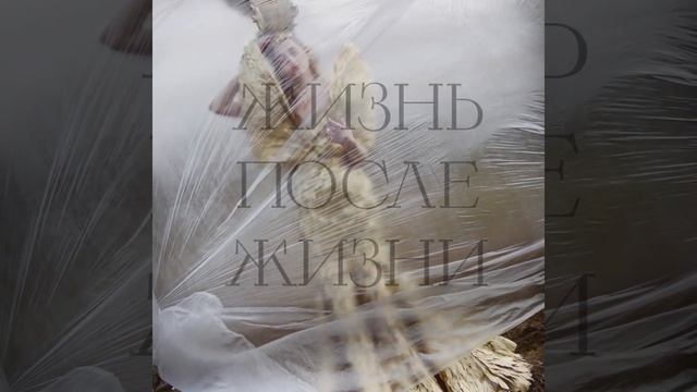Жизнь после жизни