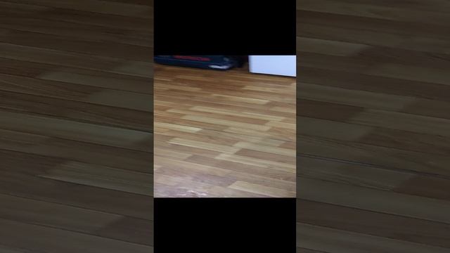 Наши вкусняшки