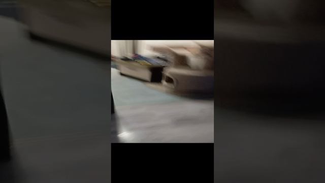1000004453.mp4