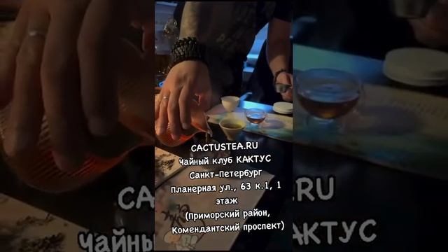 ЧАЙНЫЙ КЛУБ CACTUSSTONE