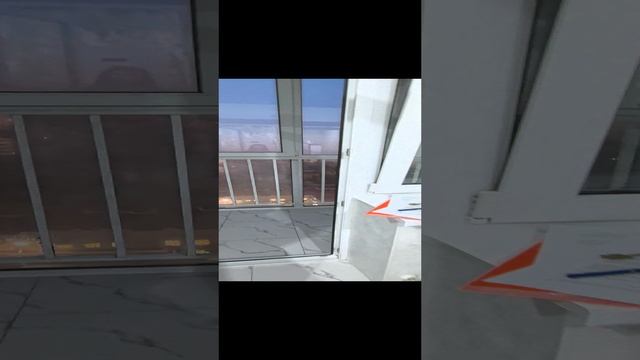 VID_20241118_170806.mp4