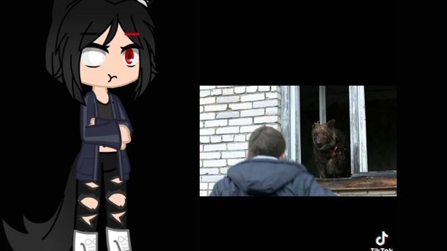 жуть правда?