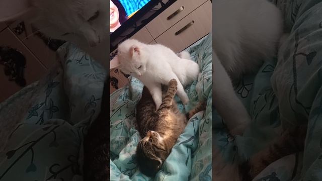 1000130523.mp4