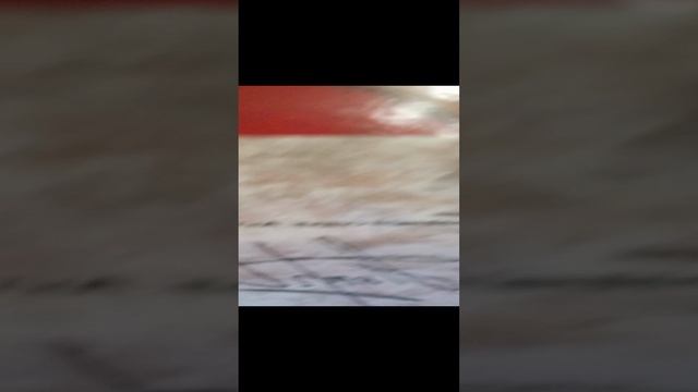мои призовые места