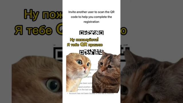 Грустный кот из мемов живёт в Китае? Как разблокировать WeChat в Телеграме: https://t.me/as_pacific