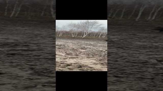 18-11-2024 Не погода
