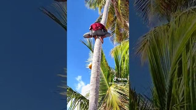 VID_59830907_033941_212.mp4