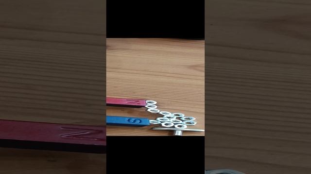 VID_20241108_095312