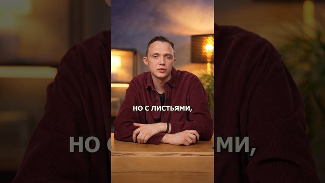 Томатные гибриды с другими растениями