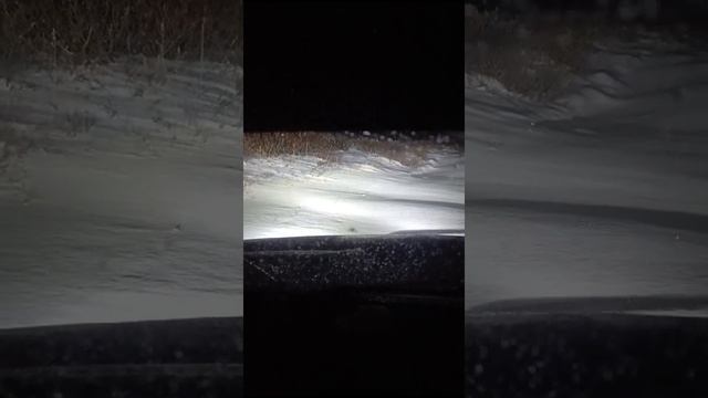 VID-20241117-WA0138.mp4