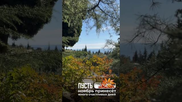 Ноябрь. Солнце. «Ялта-Интурист»