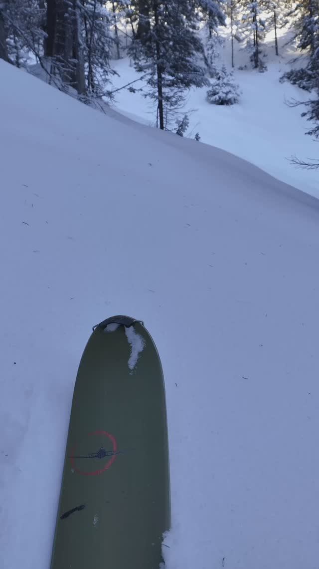 Мы скучали...