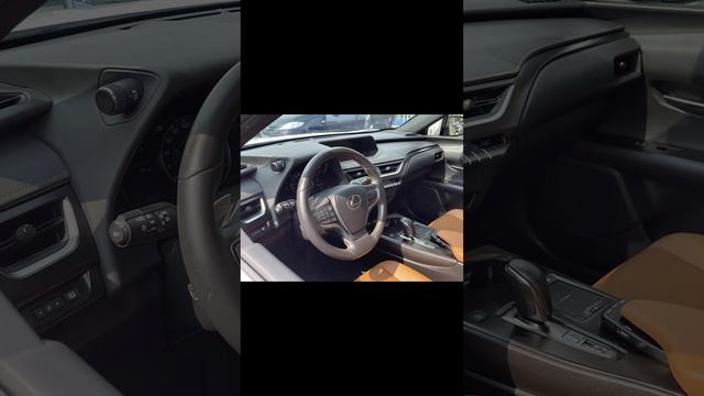 Lexus UX New Energy 2020 300e Pure Joy Edition