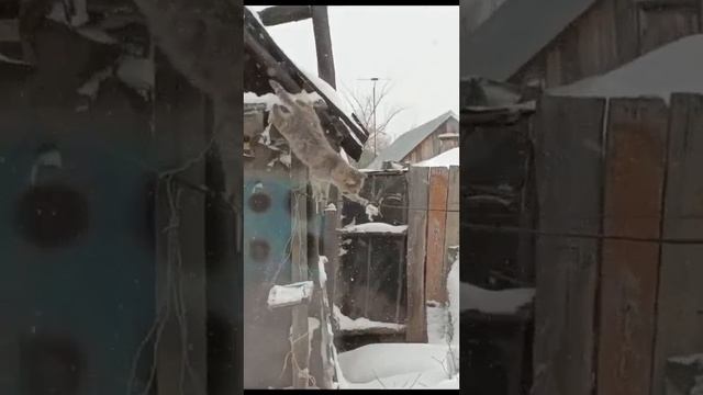 Когда очень сильно хочется