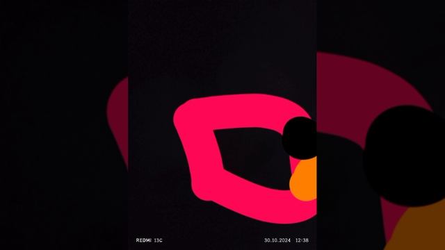 1000011895.mp4