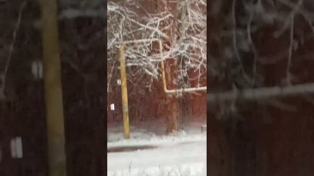 31-ое октября... вечер... тихо идет снег... #троицк #урал #вечер